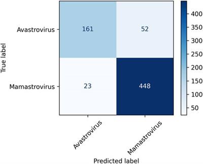 Leveraging machine learning for taxonomic classification of emerging astroviruses